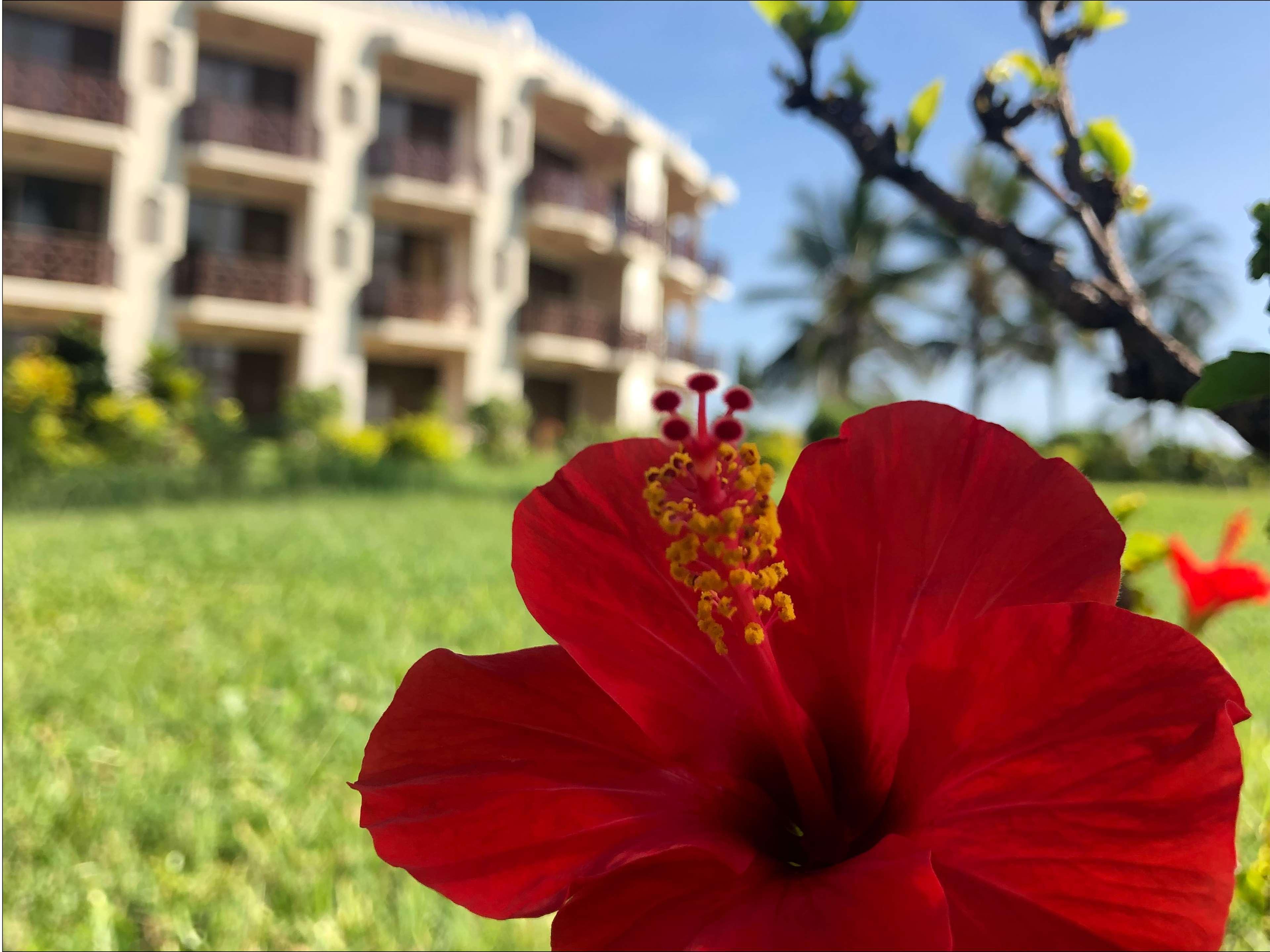 Hotel Golden Tulip Dar Es Salaam Exterior foto